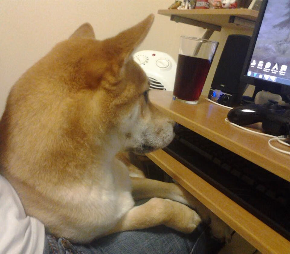 中国女篮通过实战演练提升默契配合，中国女篮现场